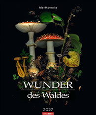 Kalender: Wunder des Waldes 2027