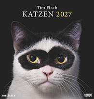 Tim Flach: Katzen Kalender 2027